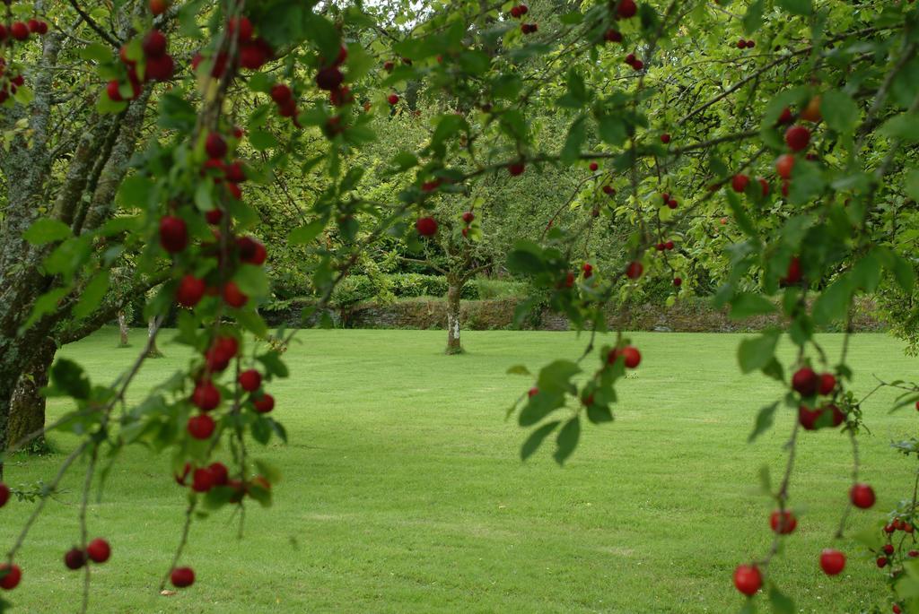 Rhosygilwen Courtyard Bed & Breakfast Cilgerran Exterior foto